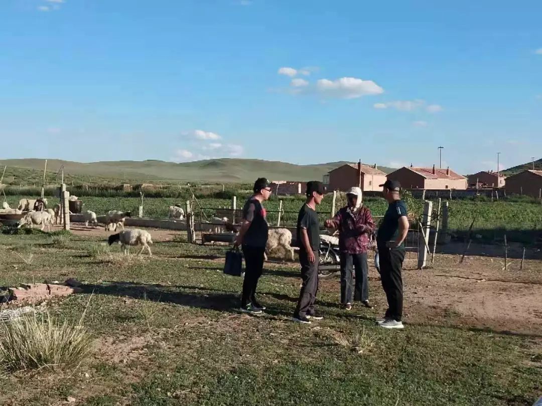 【典型人物专刊】用真情办实事用爱心暖民心——宝力根陶海苏木浩日庆敖包嘎查第一书记王俊