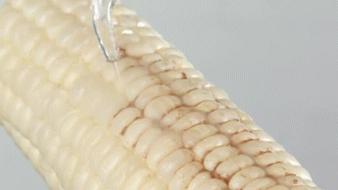 洗牙神器是真的管用,洗牙神器去牙结石永久有效果