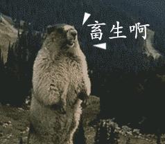 老婆刚得绝症,渣男就网约mm唱歌看电影了!篱笆网沸腾了