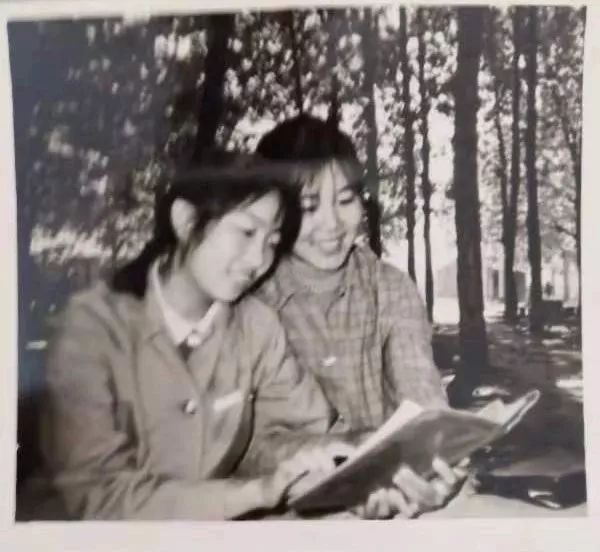 我的高考故事,我的高考故事纪录片