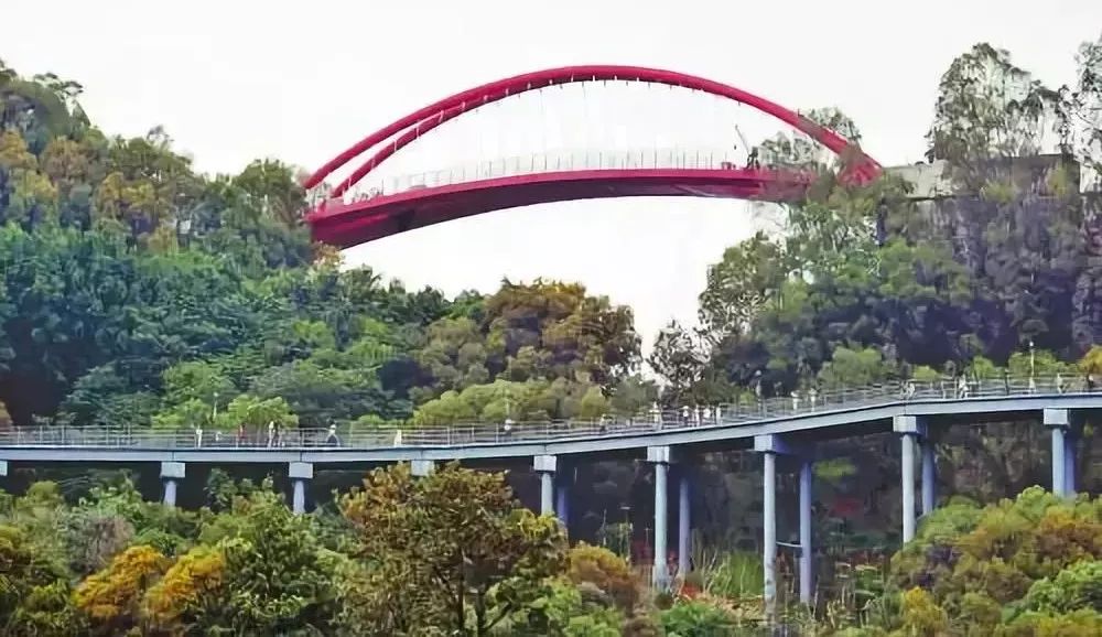 福州好玩拍照好看的地方,福州3-4月份赏花位置