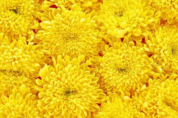 今日重庆头条新闻,今日重庆新闻