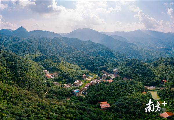 罗浮山重阳登高公告,重阳高榜山