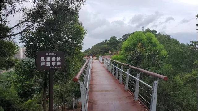 罗浮山重阳登高公告,重阳高榜山