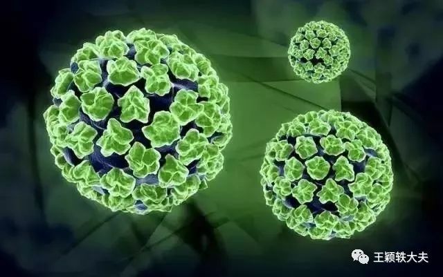 癌症的治疗与预防讲座的心得体会,浅谈肺癌的癌变之路