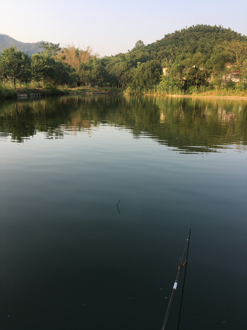 假期回家阖家欢乐,假期来郊外玩心情美美哒