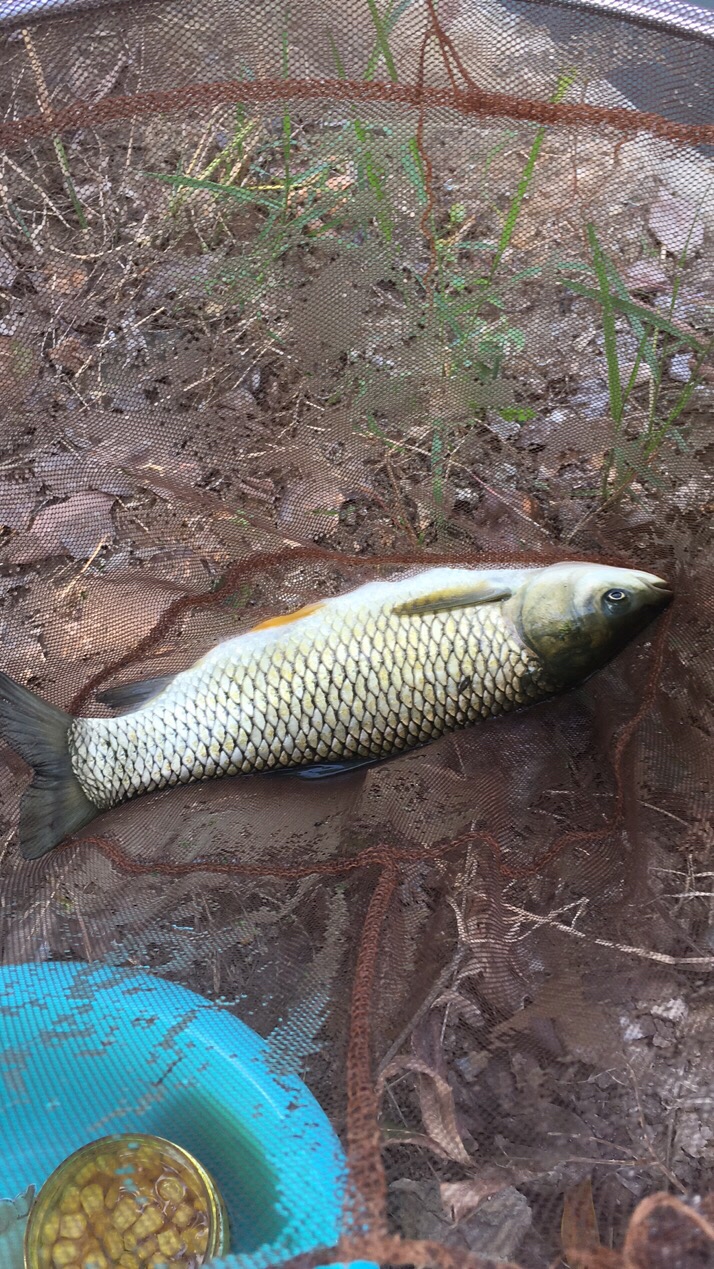 假期回家阖家欢乐,假期来郊外玩心情美美哒