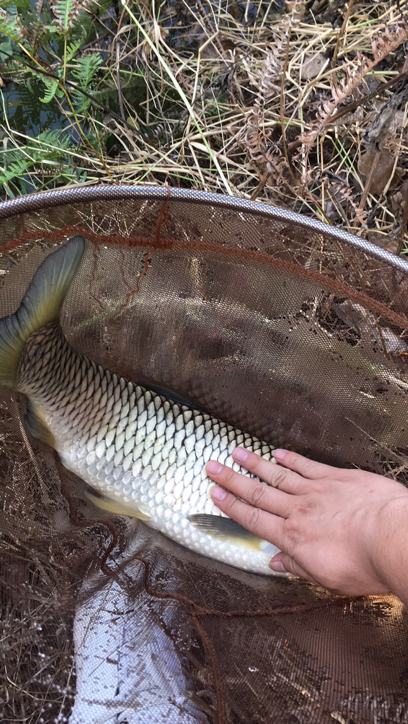 假期回家阖家欢乐,假期来郊外玩心情美美哒