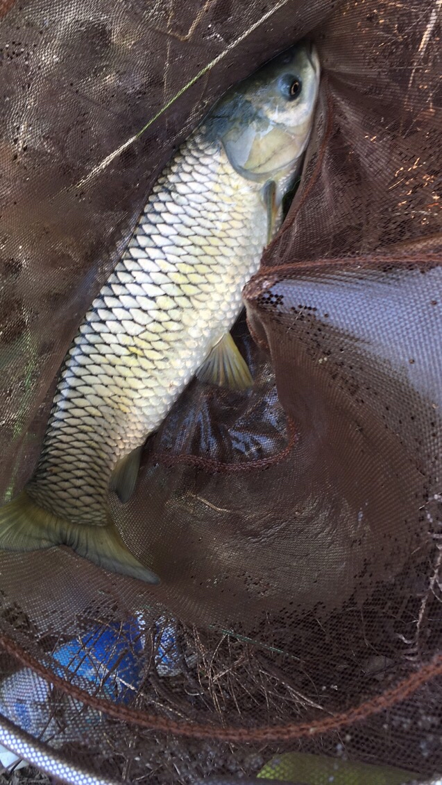 假期回家阖家欢乐,假期来郊外玩心情美美哒