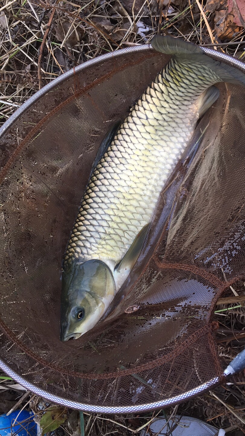 假期回家阖家欢乐,假期来郊外玩心情美美哒