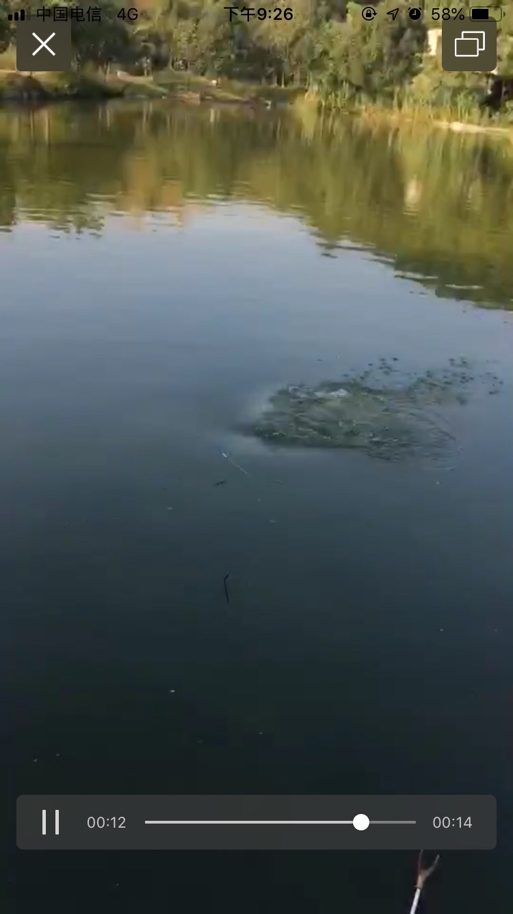 假期回家阖家欢乐,假期来郊外玩心情美美哒