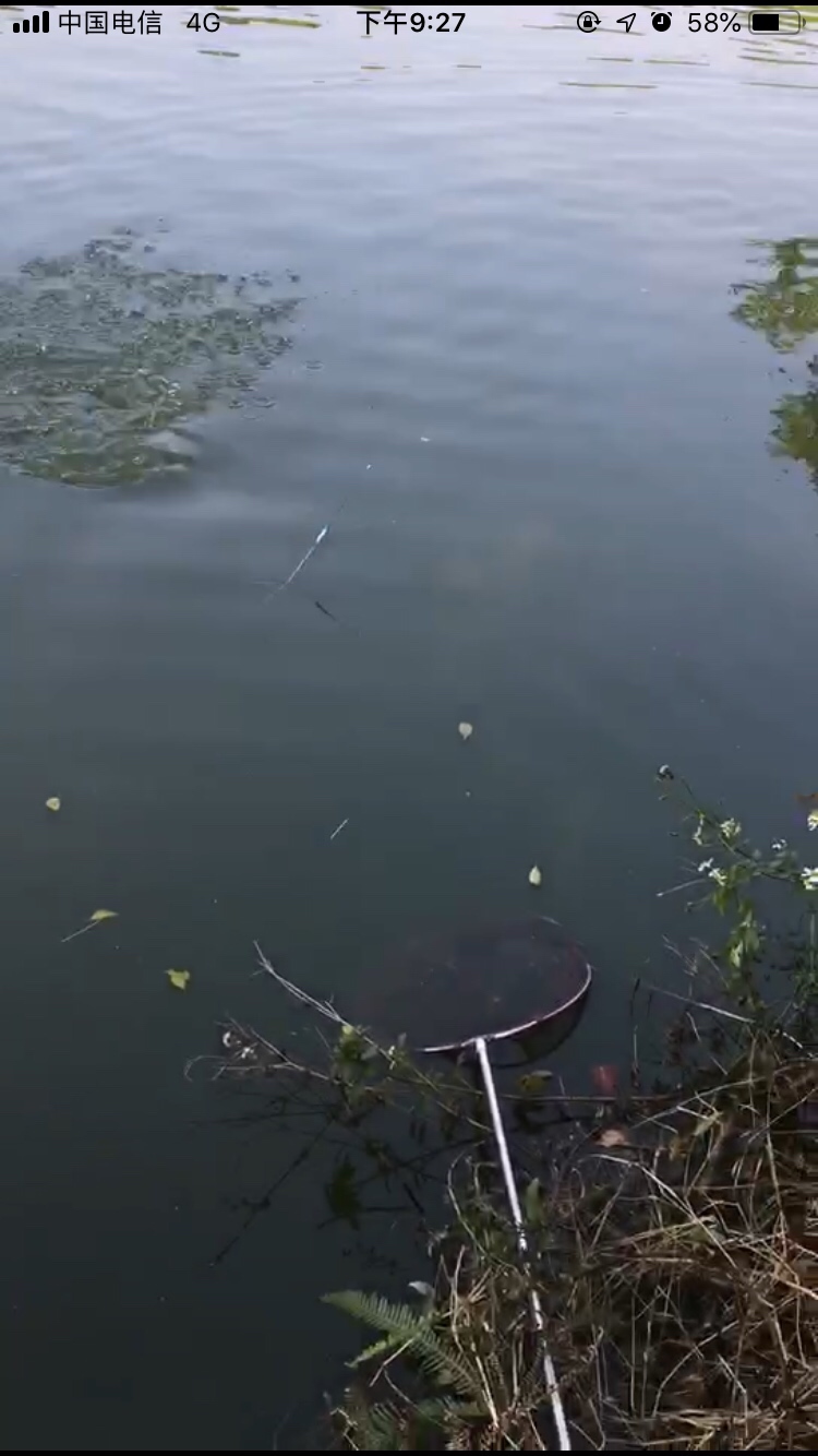 假期回家阖家欢乐,假期来郊外玩心情美美哒