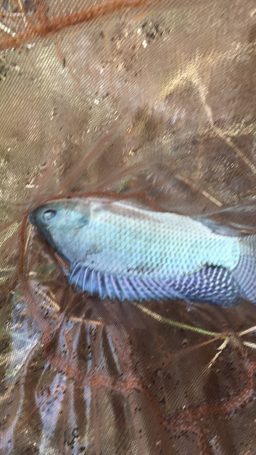 假期回家阖家欢乐,假期来郊外玩心情美美哒