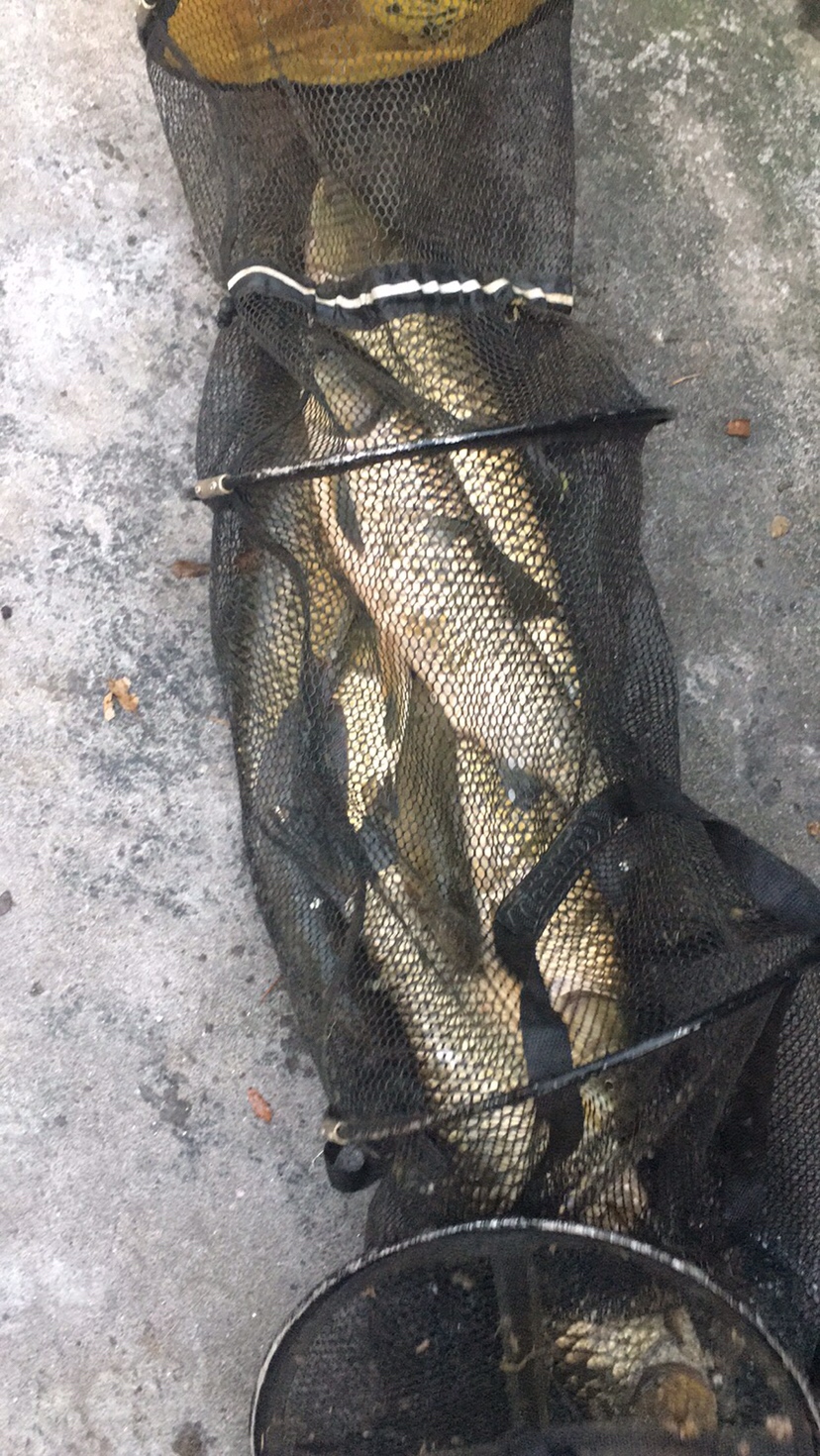 假期回家阖家欢乐,假期来郊外玩心情美美哒