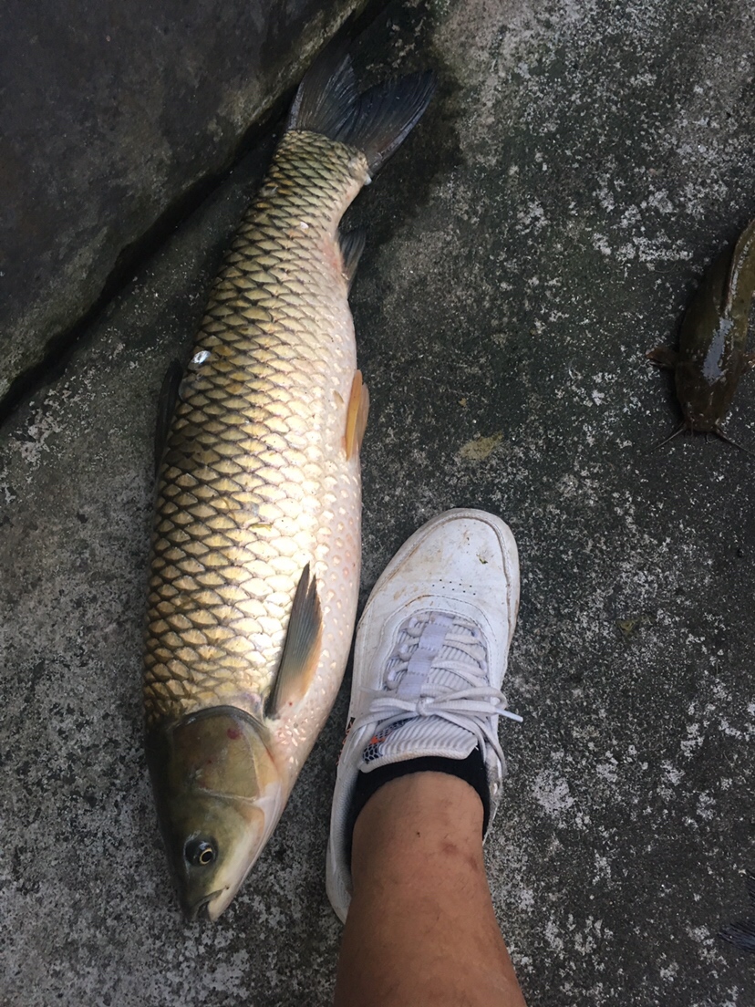 假期回家阖家欢乐,假期来郊外玩心情美美哒