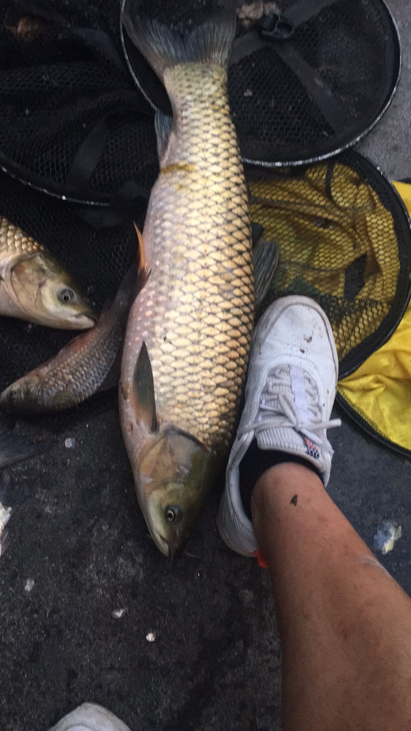 假期回家阖家欢乐,假期来郊外玩心情美美哒