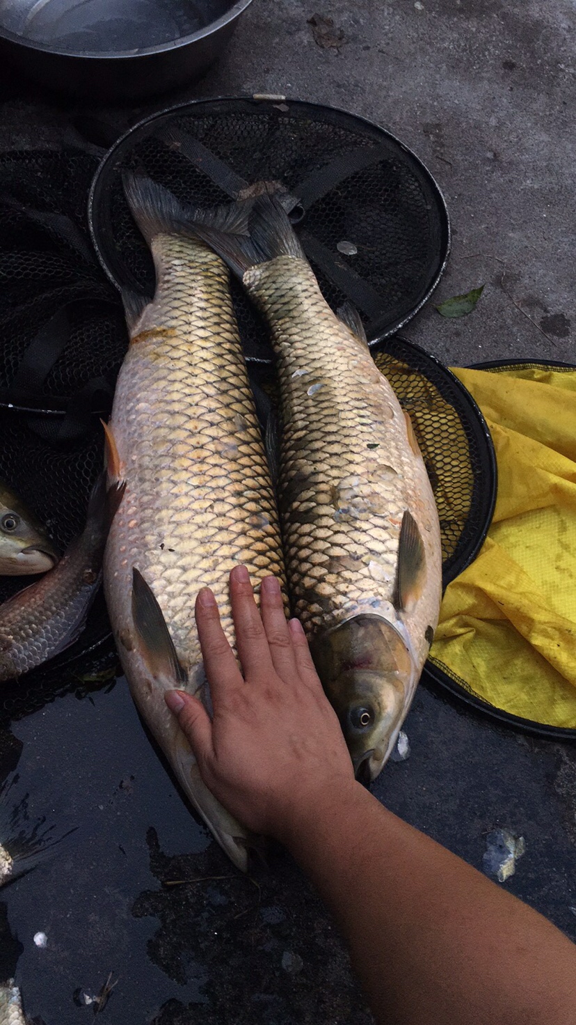 假期回家阖家欢乐,假期来郊外玩心情美美哒