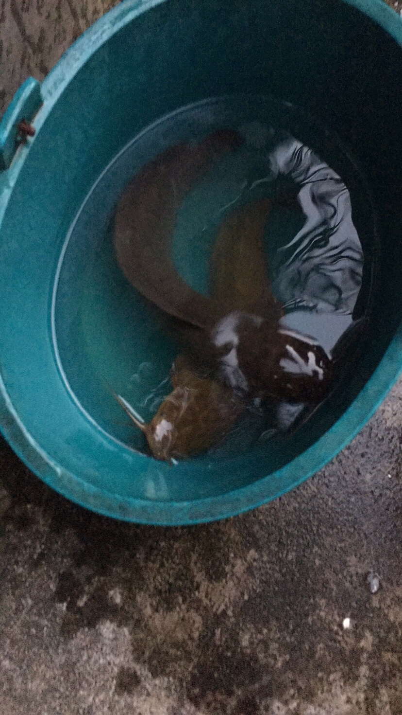 假期回家阖家欢乐,假期来郊外玩心情美美哒