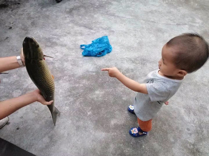 假期回家阖家欢乐,假期来郊外玩心情美美哒