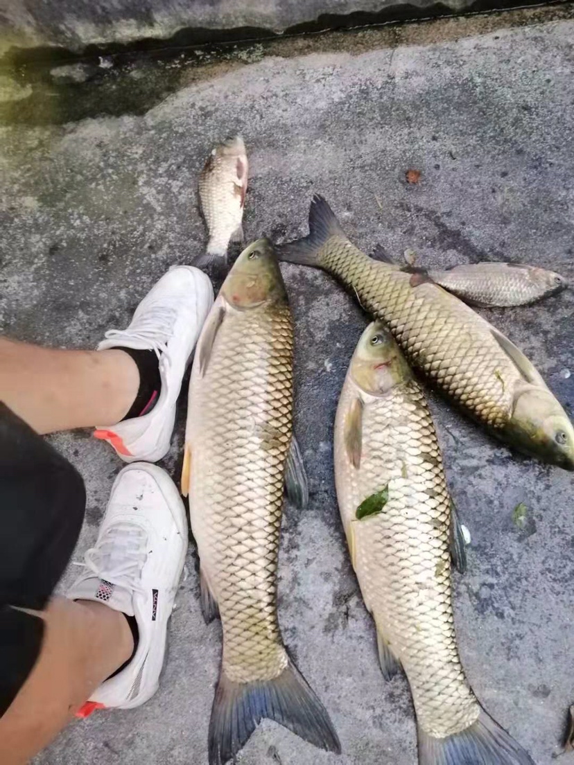 假期回家阖家欢乐,假期来郊外玩心情美美哒