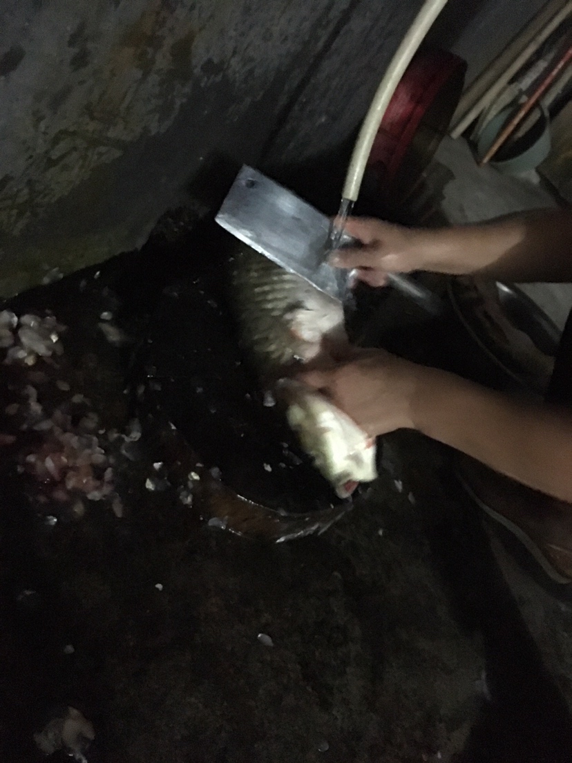 假期回家阖家欢乐,假期来郊外玩心情美美哒