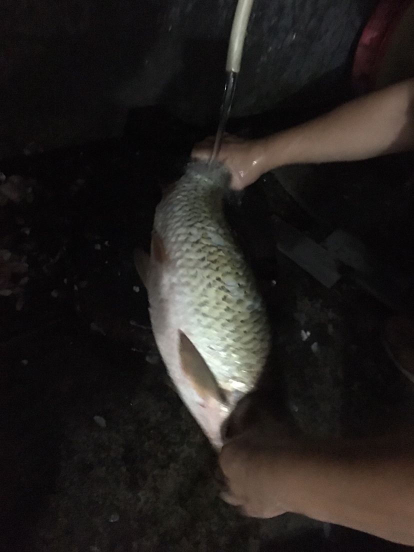 假期回家阖家欢乐,假期来郊外玩心情美美哒