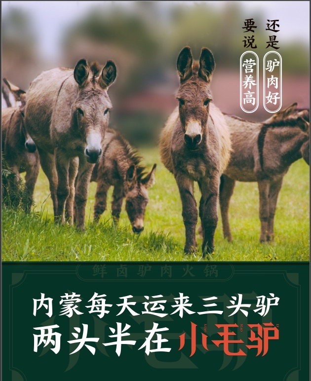小毛驴河间正宗驴肉火锅,小毛驴驴肉火锅馆优惠团购