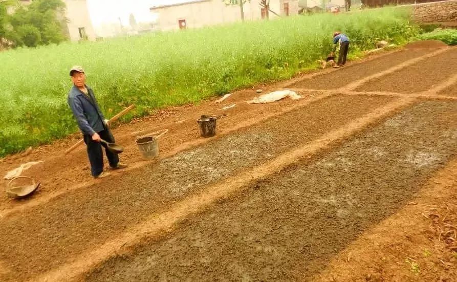 面临重茬,我们怎么办?(实用好文)