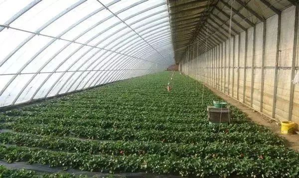 面临重茬,我们怎么办?(实用好文)