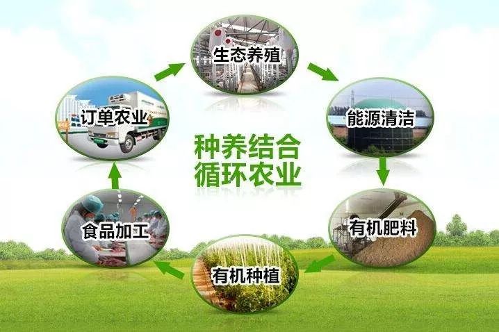 牧原股份扩张计划养猪,牧原股份现代化养猪