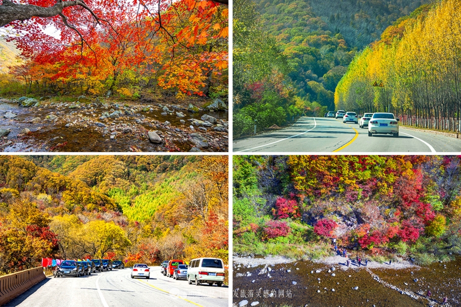 中华枫叶大道沿途风景区,中华枫叶大道红了吗