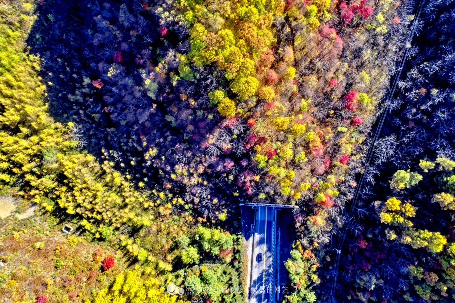 中华枫叶大道沿途风景区,中华枫叶大道红了吗