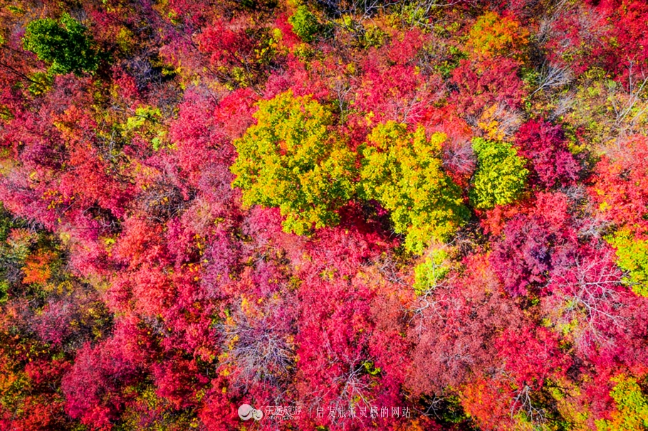 中华枫叶大道沿途风景区,中华枫叶大道红了吗