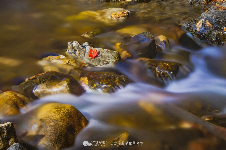 中华枫叶大道沿途风景区,中华枫叶大道红了吗