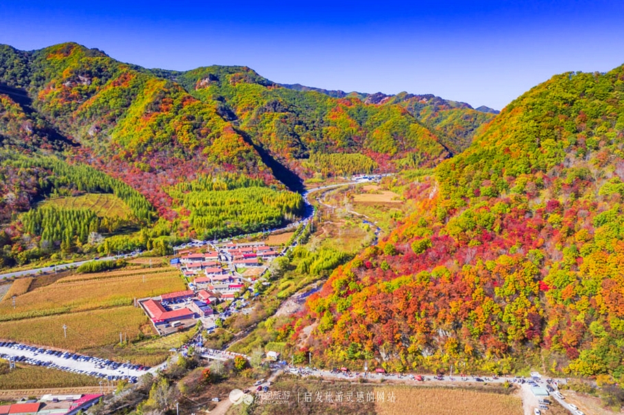 中华枫叶大道沿途风景区,中华枫叶大道红了吗