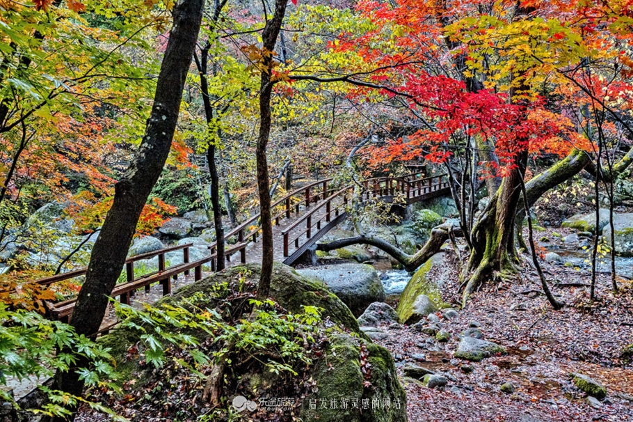 中华枫叶大道沿途风景区,中华枫叶大道红了吗