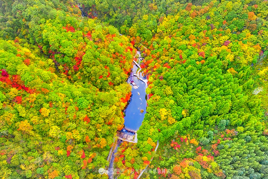 中华枫叶大道沿途风景区,中华枫叶大道红了吗