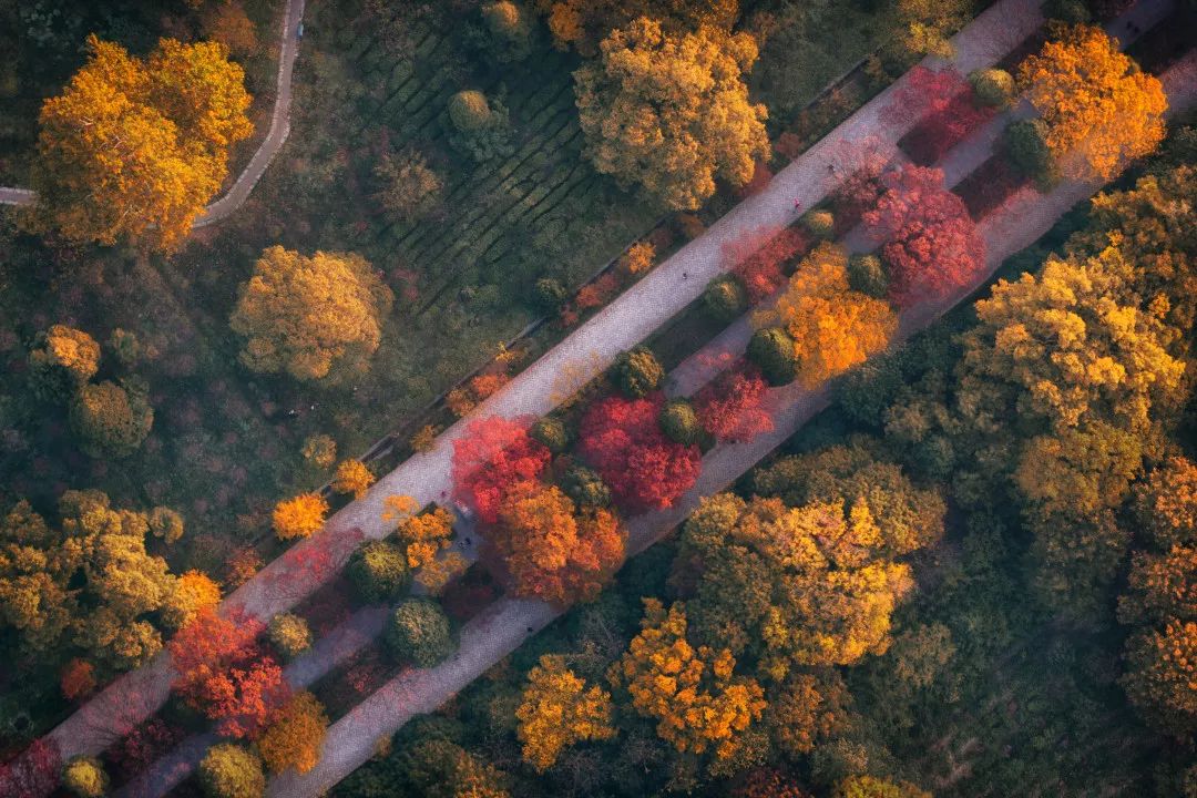 2019年寒露具体时间,今天寒露具体时间