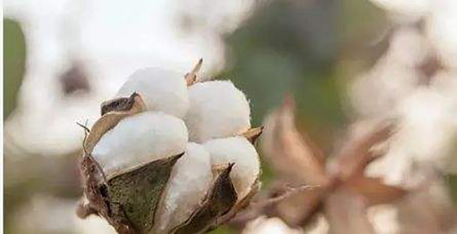 家中门把手静电很重怎么办,家中静电多是怎么回事