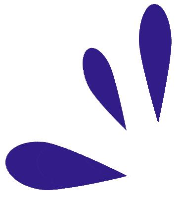 江苏首家AdidasMBC店来了！千双YEEZY高调回归，千份定制可乐免费送