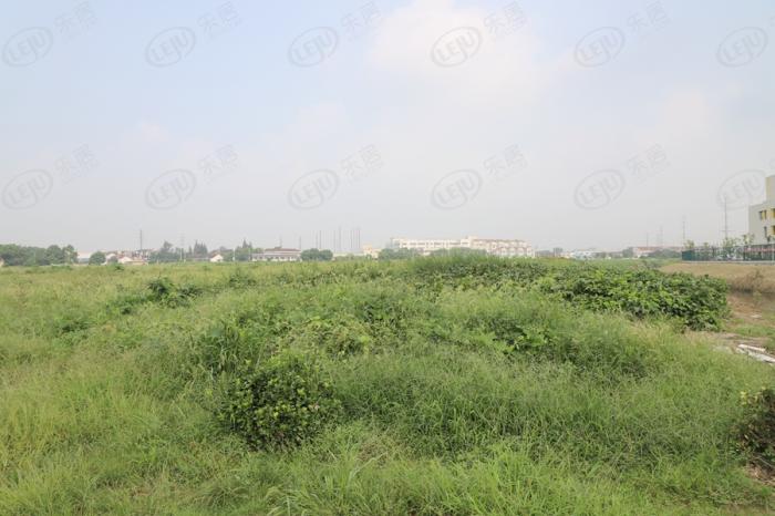 东北塘土地出让多少钱一平,地块起拍价1850万元一亩