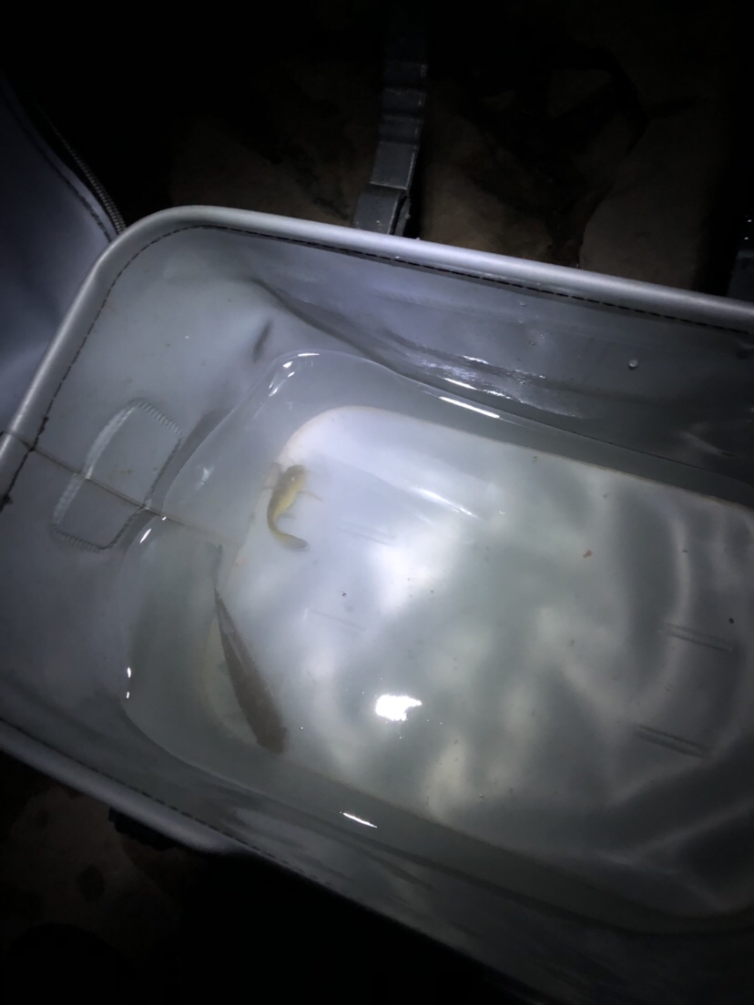 疲惫八段锦,连战第一次破冰之旅