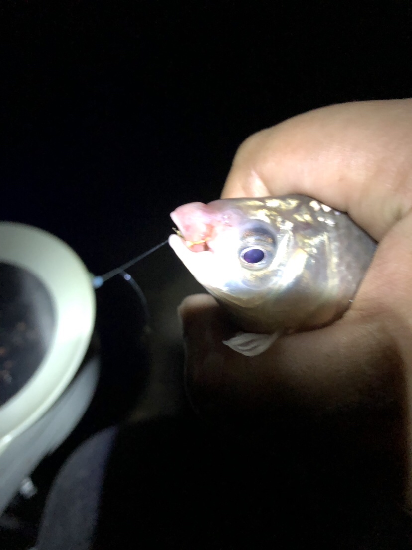 疲惫八段锦,连战第一次破冰之旅