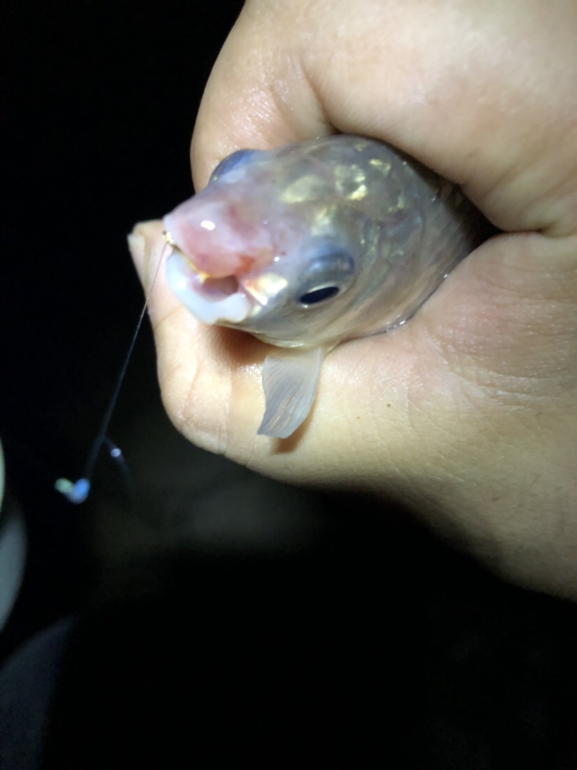 疲惫八段锦,连战第一次破冰之旅