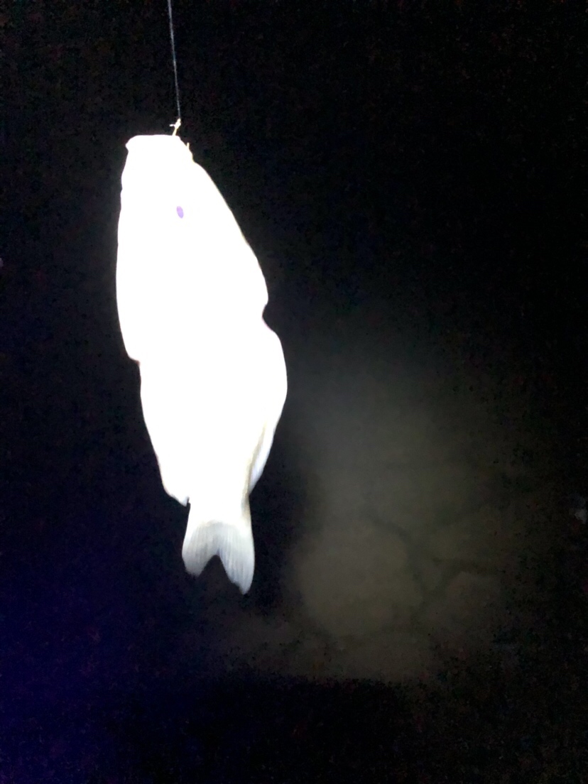 疲惫八段锦,连战第一次破冰之旅