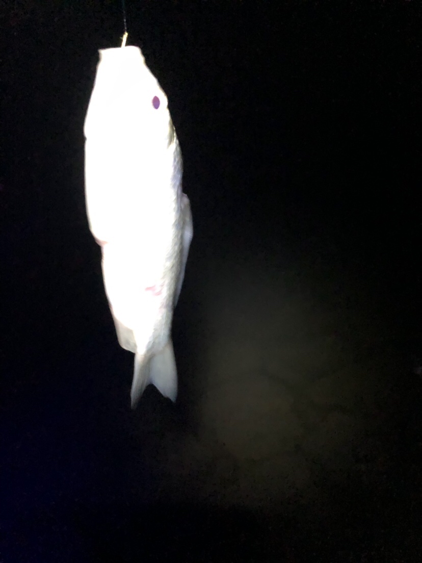 疲惫八段锦,连战第一次破冰之旅