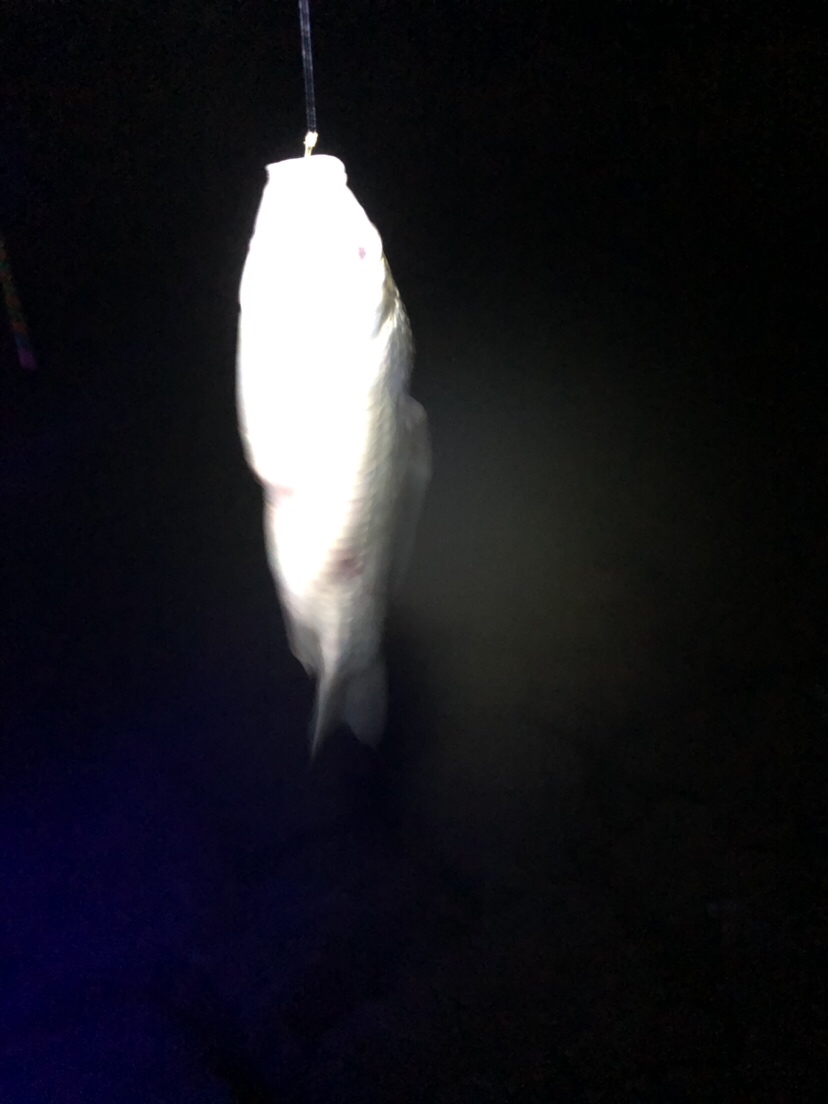 疲惫八段锦,连战第一次破冰之旅