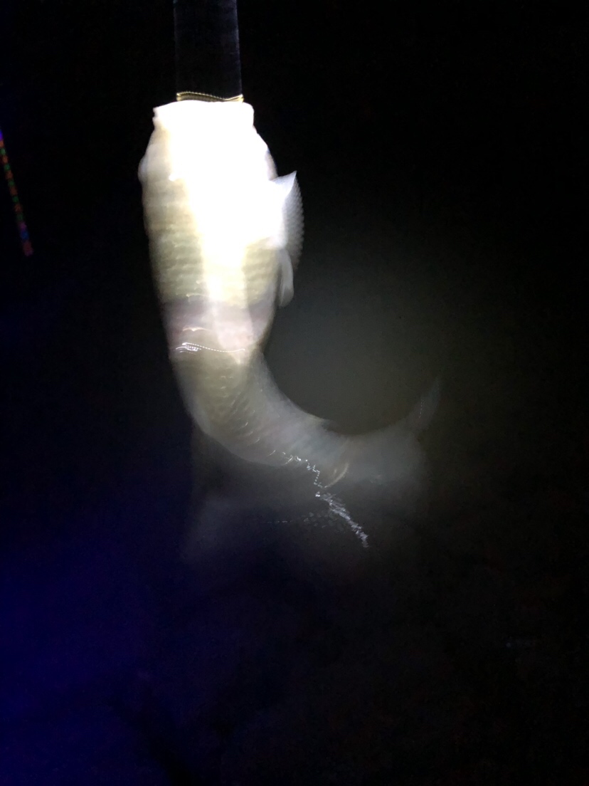 疲惫八段锦,连战第一次破冰之旅