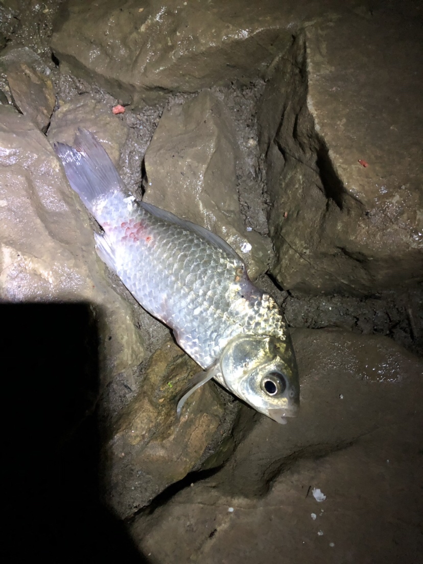 疲惫八段锦,连战第一次破冰之旅