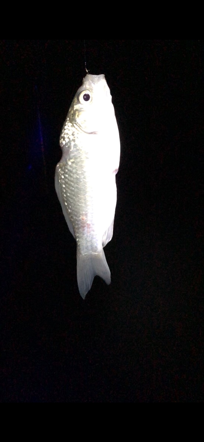 疲惫八段锦,连战第一次破冰之旅